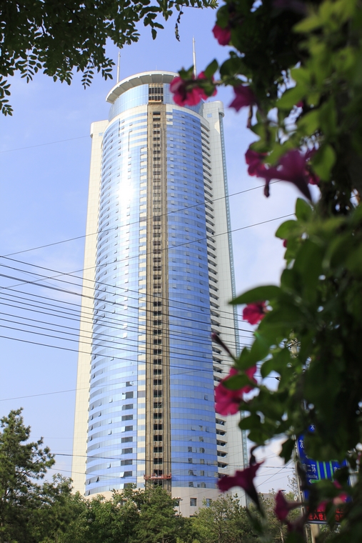 _MG_2491.JPG