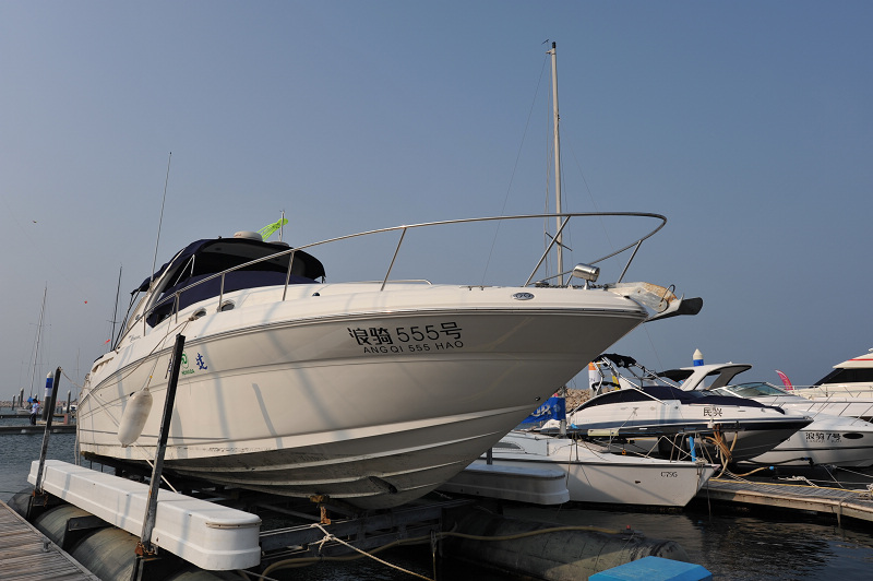 DSC_6303-55.jpg