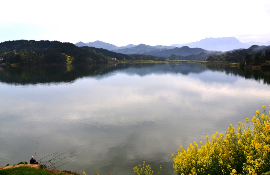 DSC_7752.jpg
