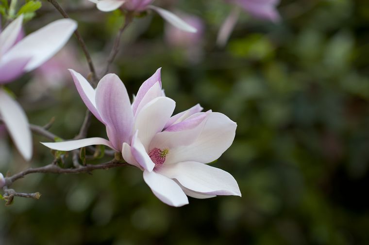 DSC_4017.jpg