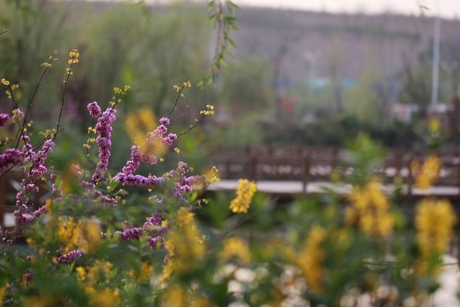 调整大小 IMG_6561.JPG