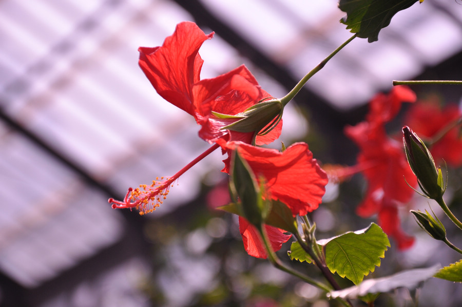 新建文件夹 073.jpg