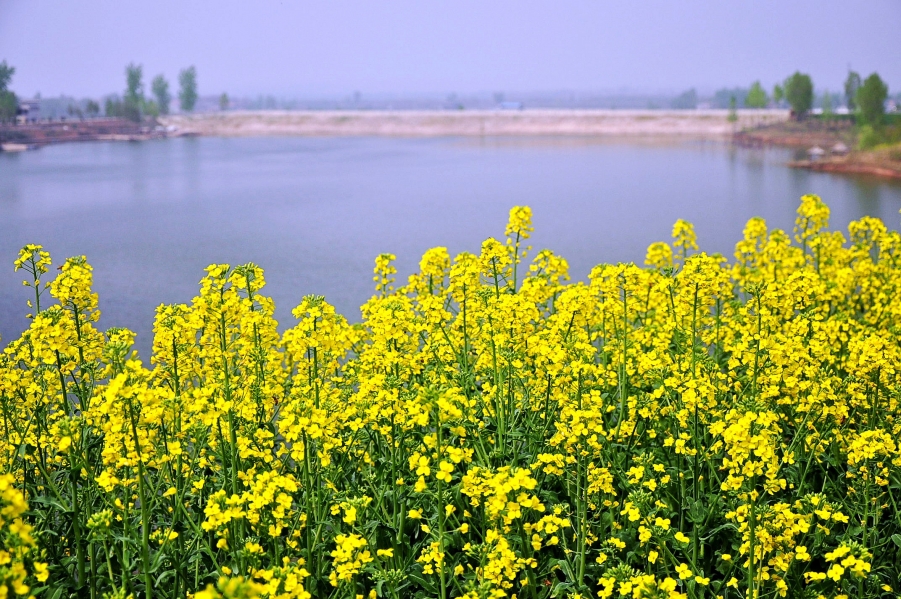 照片 004_conew1.jpg