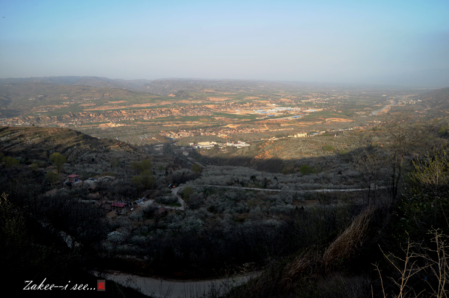 DSC_010211.jpg