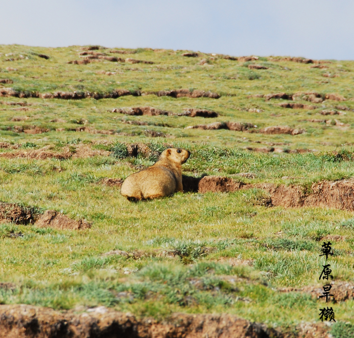 DSC_0093.JPG