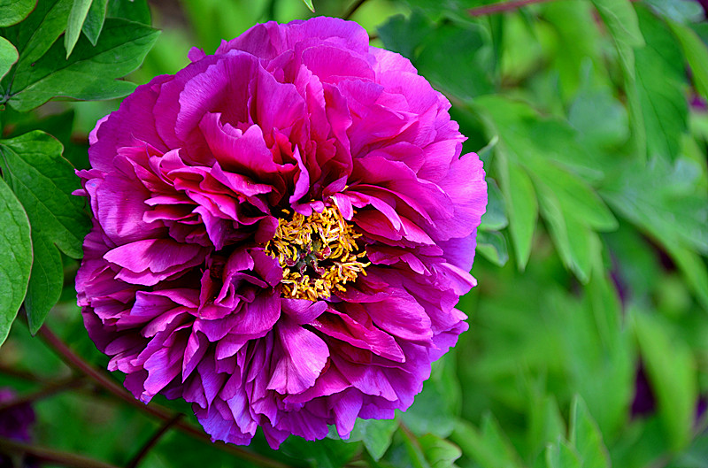 照片 079_副本.jpg