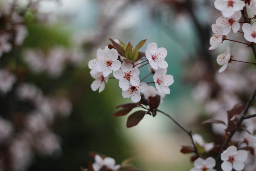 调整大小 IMG_5736.JPG