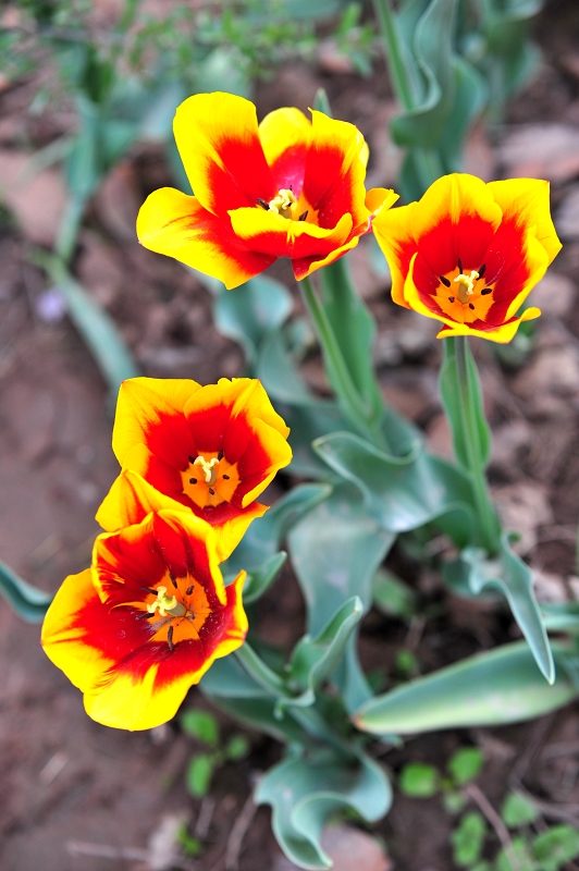 DSC_3401.jpg