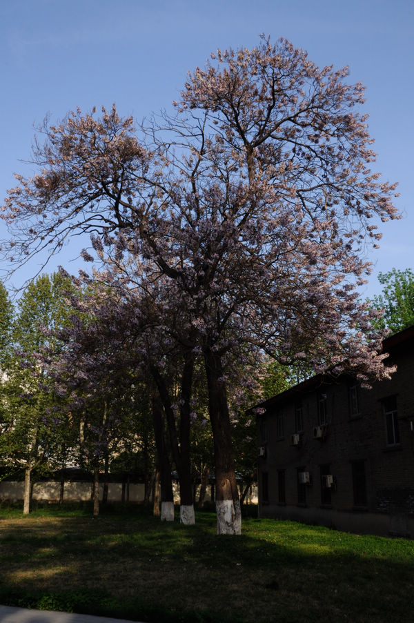 照片 09920.jpg