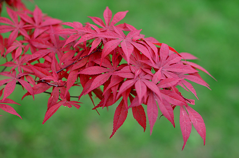 照片 112_副本.jpg