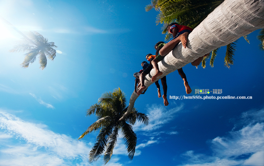 20110717_8eb8a704bc06e8ebe0d3dhxB6RzfDpog.jpg