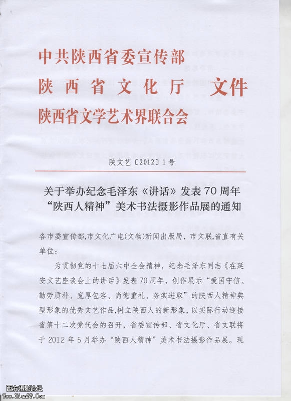 22416097.jpg