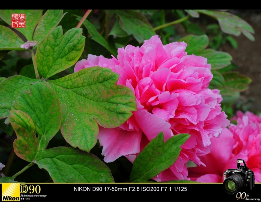 DSC_0134.jpg