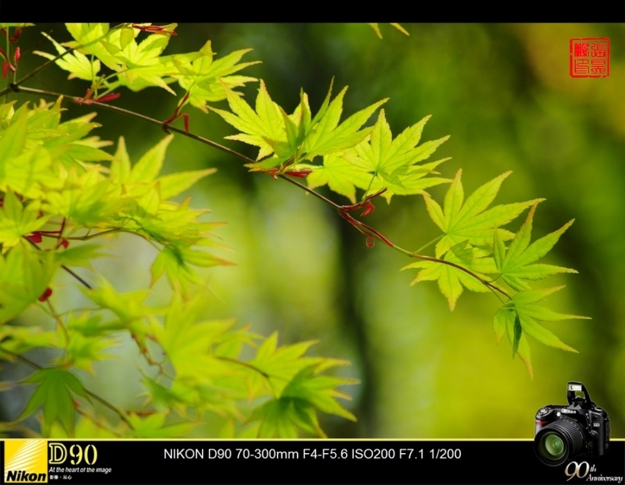 a15289926_01000.jpg