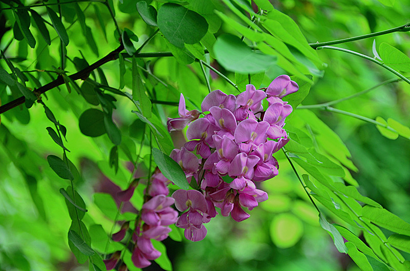 照片 070_副本.jpg