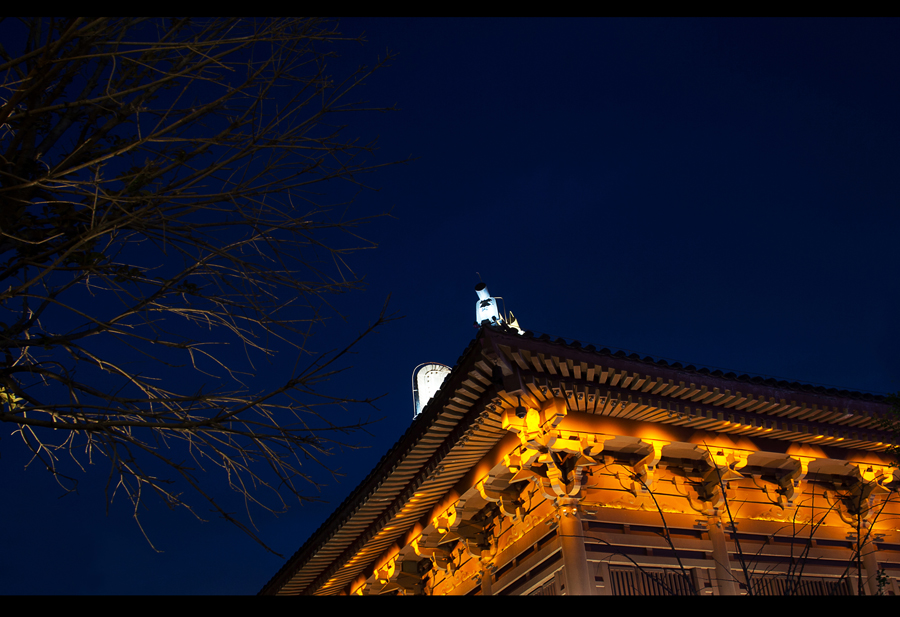 _MG_8503a.jpg