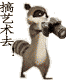 摄影家.gif