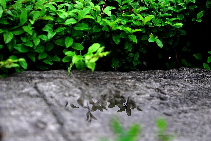 DSC_7716.jpg