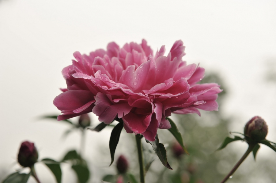 DSC_7147.jpg
