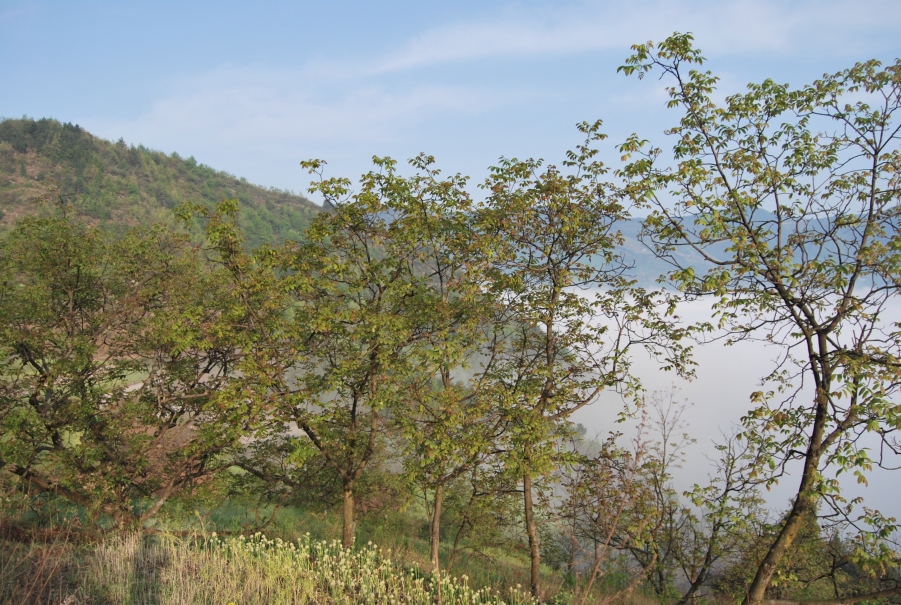 DSC_1352.JPG