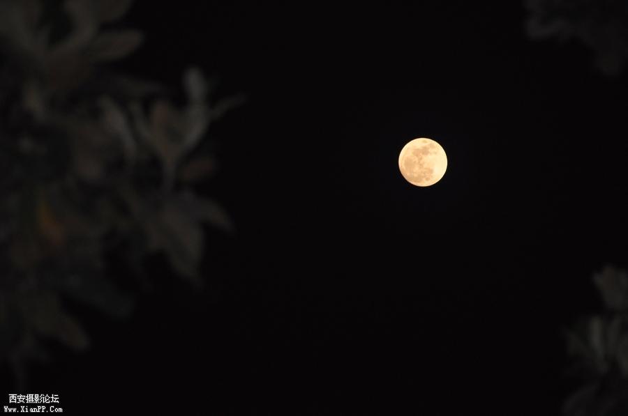 DSC_6705.JPG