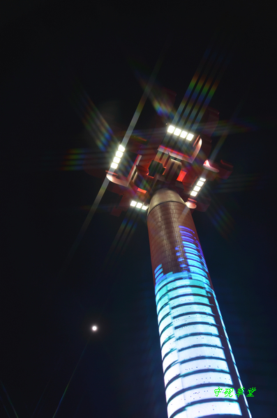 DSC_0207.jpg