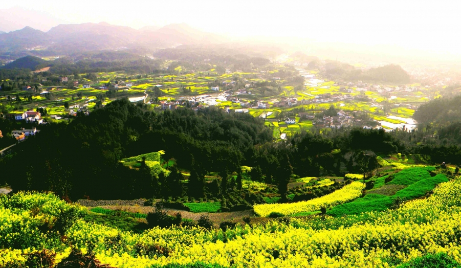 DSCN6122.jpg