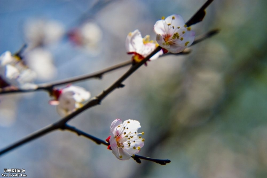 DSC_0007 as Smart Object-1.jpg