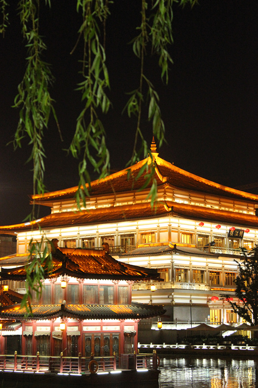 IMG_2415_副本.jpg
