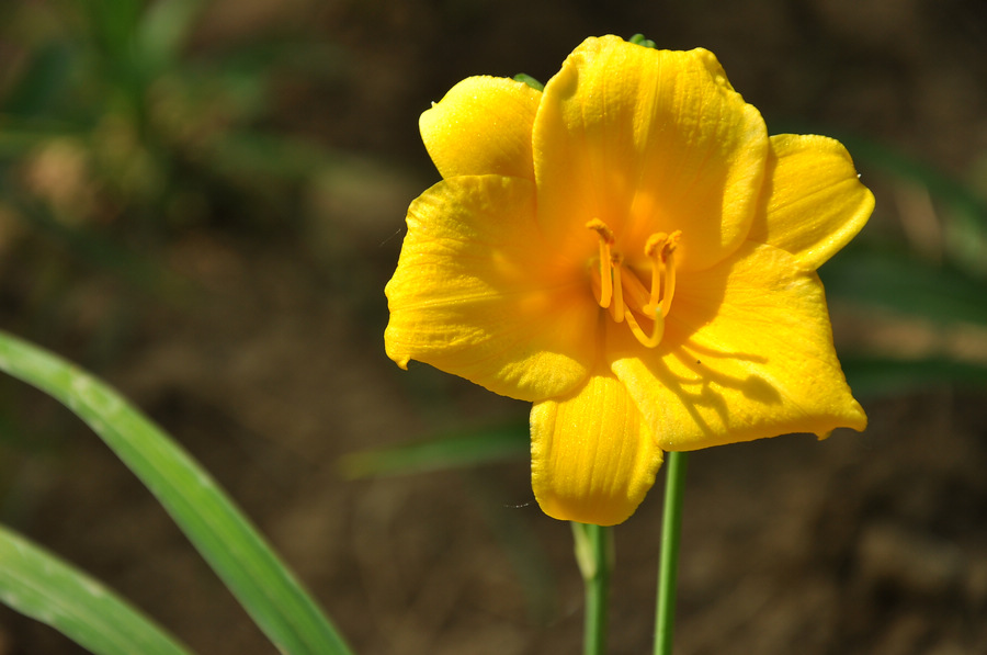 DSC_8073.JPG