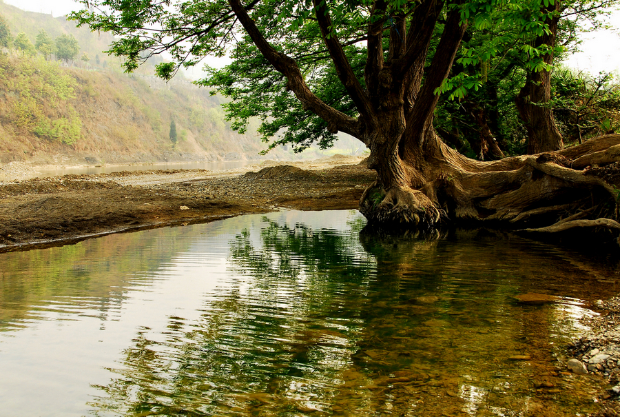 中子河2.JPG
