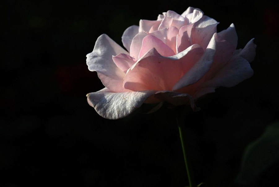 DSC_0670.JPG
