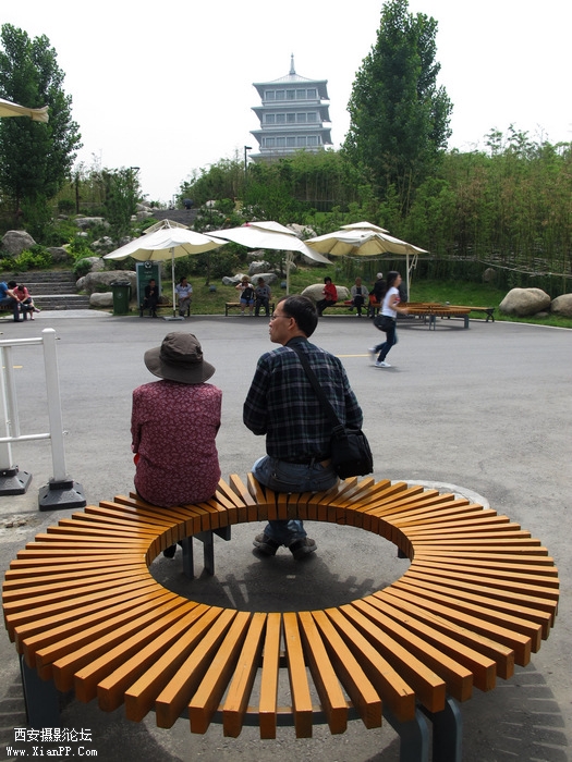 IMG_6265ab.jpg