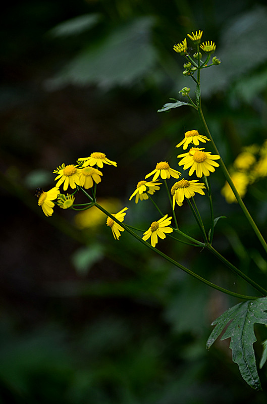 照片 072_副本.jpg