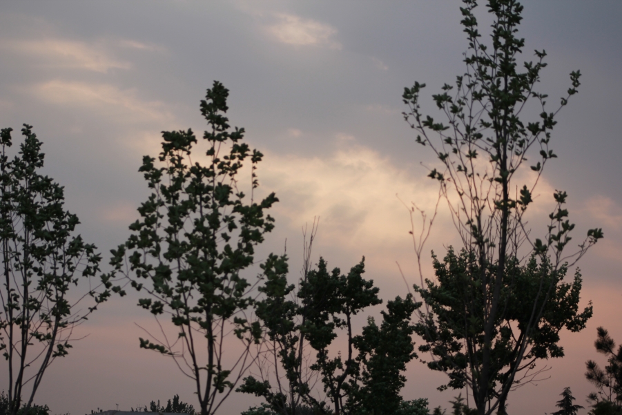 IMG_1541.JPG