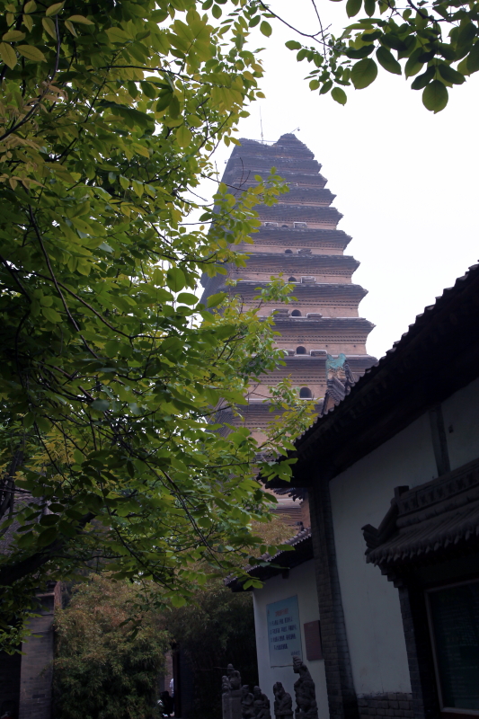 IMG_8383 拷贝01.JPG