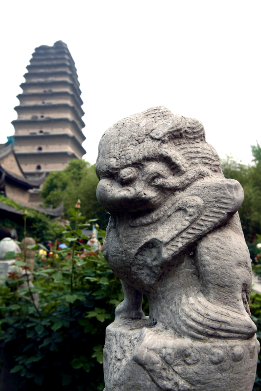 IMG_8384 拷贝01.JPG