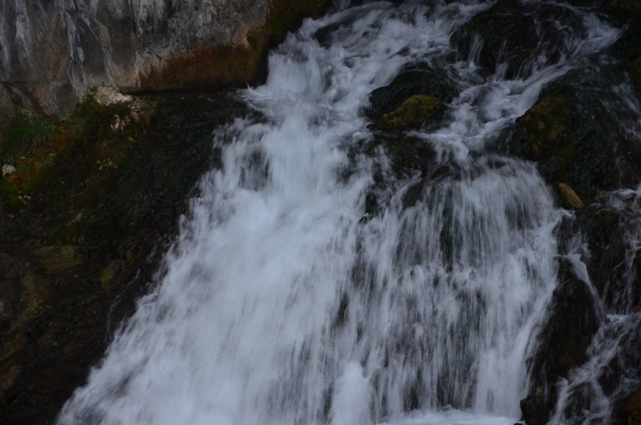 _DSC4186.JPG