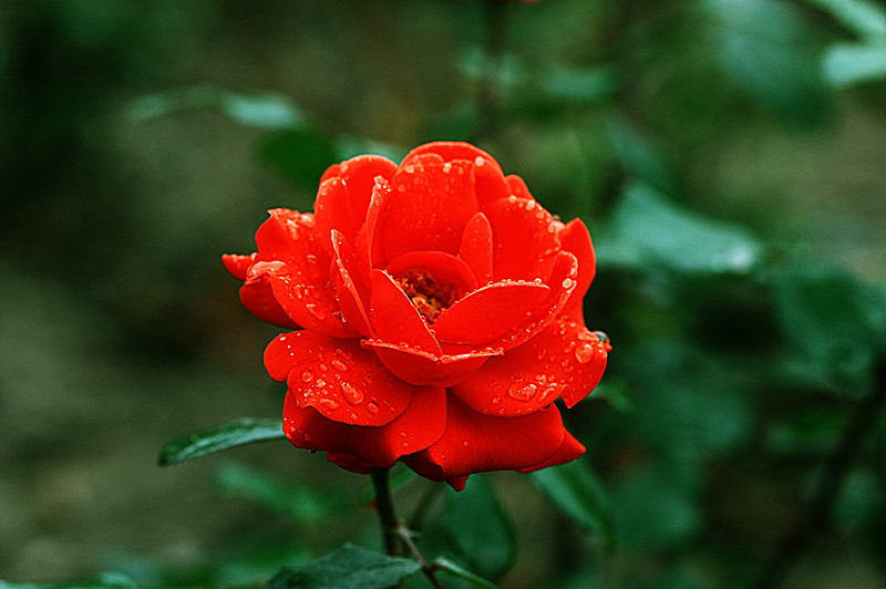 IMG_6686_副本.jpg