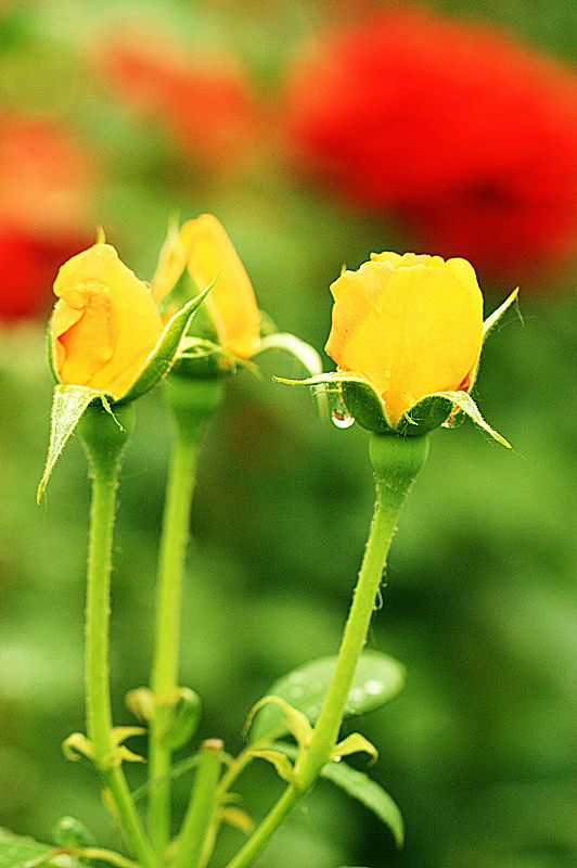 IMG_6722_副本.jpg