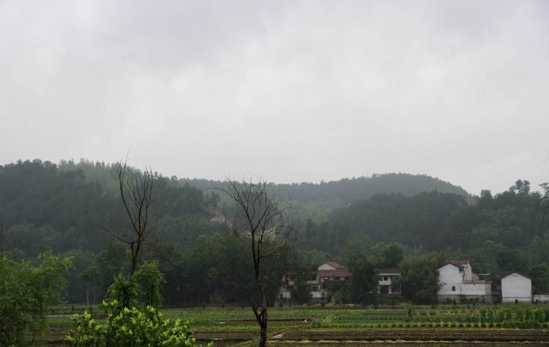 _MG_4681.jpg