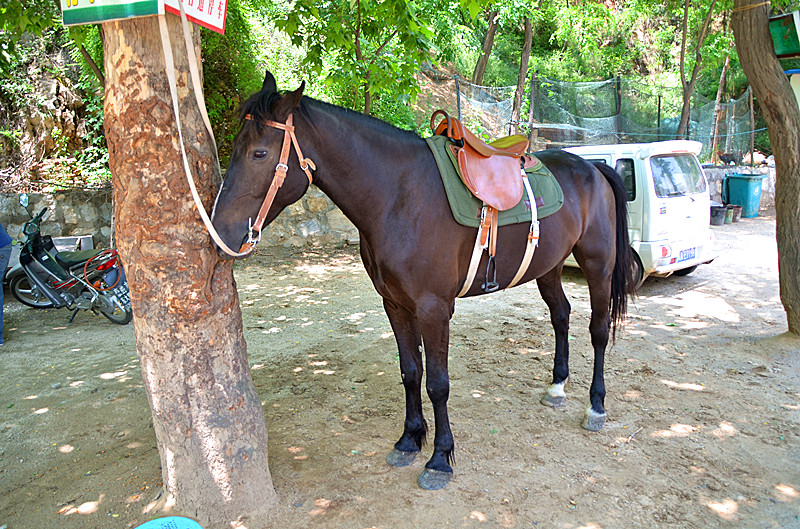 照片 043_副本.jpg