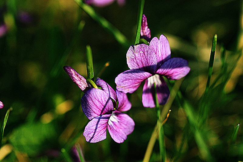 IMG_5802_副本.jpg
