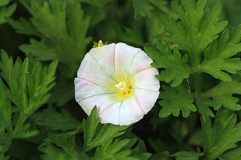 IMG_6446_副本.jpg