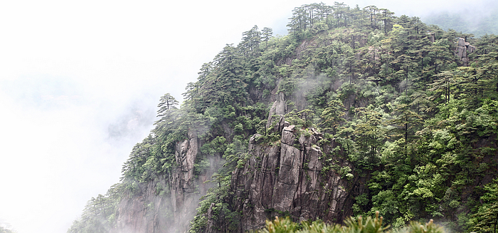 黄山景致10.jpg