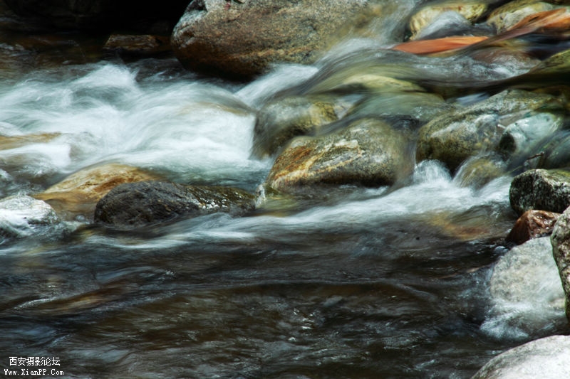 _MG_0045.jpg