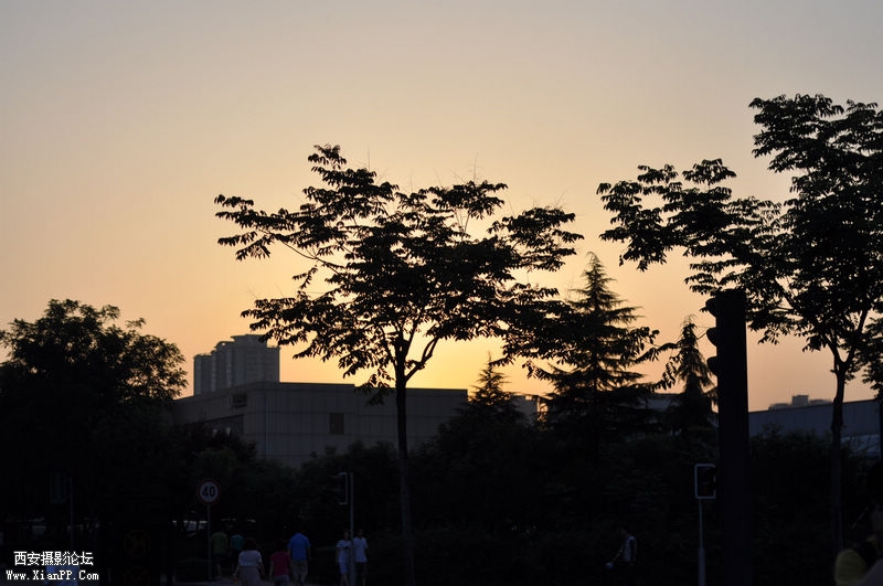 DSC_0124.jpg