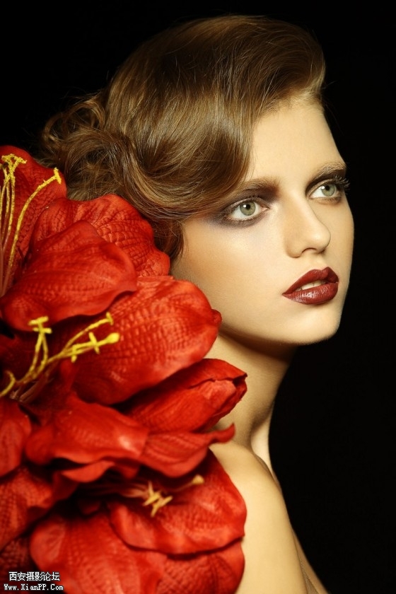 hswl005-560x840.jpg