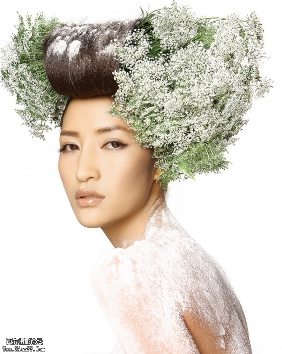 ss010-560x701.jpg