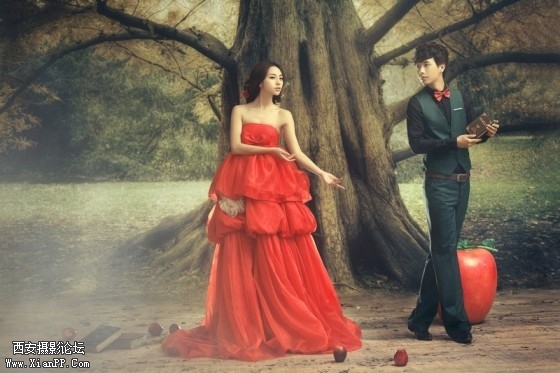dgls003-560x373.jpg